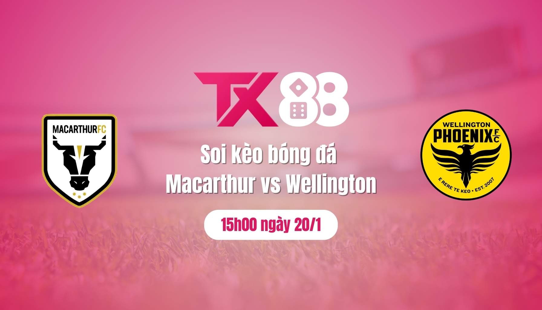 TX88 Soi kèo bóng đá Macarthur vs Wellington Phoenix, 15h00 ngày 20/1: Cơ hội bứt phá bất ngờ